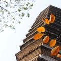 建為歷保中標(biāo)奎光塔物聯(lián)網(wǎng)監(jiān)測系統(tǒng)及園區(qū)無線網(wǎng)絡(luò)數(shù)字導(dǎo)覽系統(tǒng)建設(shè)采購項(xiàng)目